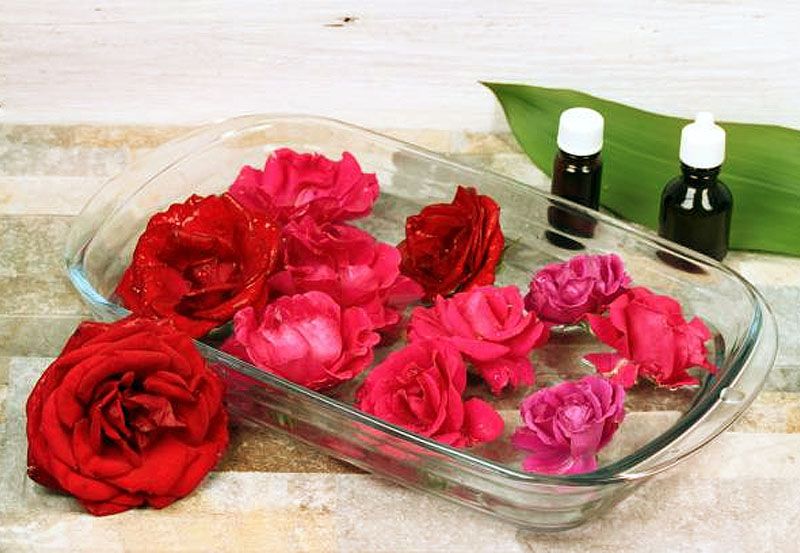 Sehatkan Jiwa dengan Terapi Energi Bunga Bach Flower Remedies