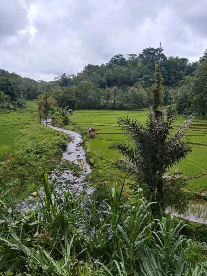 Bulukumba tuan rumah Youth Camp Sulawesi Selatan: Isu-isu lingkungan akan mengalir deras dari Sungai